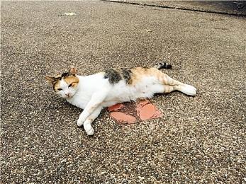 TGA官推分享2023上半年登陆Xbox的游戏